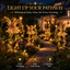 Enchanted Fairy Solar Garden Light on Stake