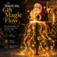 Santa Gift Fountain Light for the Garden