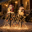 Santa Gift Fountain Light for the Garden