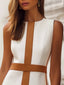 Mini Dress | Sleeveless, Color-Blocked Design 1