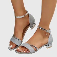 Women's Sandals | Adjustable Ankle Strap, Block Heel 6