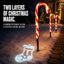 Solar Candy Cane Pathway Lights with Projection