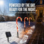 Solar Candy Cane Pathway Lights with Projection