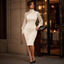 Women's Mock Neck Bodycon Midi Dress with Mesh Sleeves